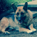 sunshineandteardrops avatar