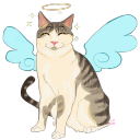 sunshinecatmom avatar