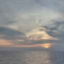 sunshinedaises avatar