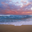 sunshinedaydreams avatar