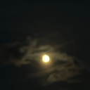 sunshinedayzz avatar