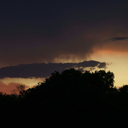 sunshinedeianeira avatar