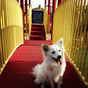 sunshineee228 avatar