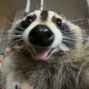 sunshineenjoyer avatar