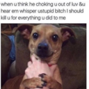 sunshineforthedead avatar