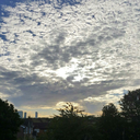 sunshinelinebts avatar