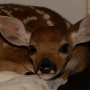 sunshinemisery avatar