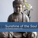 sunshineofthesoul avatar