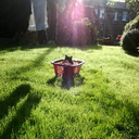 sunshineonacloudydaysposts avatar