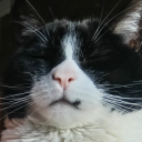 sunshinerainbowskull avatar