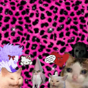 sunshines1nners avatar