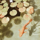 sunshinesoullll avatar