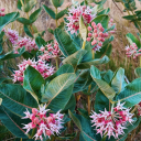 sunshinesrain avatar