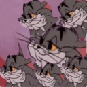 sunshinesuska avatar