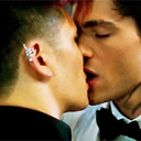 sunshinetheperekeet avatar