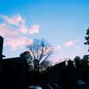 sunshineusagi-dos avatar