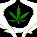 sunshinewonders avatar