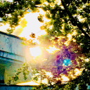 sunspot-syzygy avatar