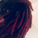 sunstarsunflower avatar