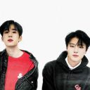 suntomyflowers avatar