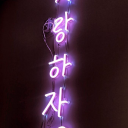 sunxflowersposts avatar