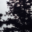 super-infinity-quotes-blog avatar