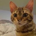 super-infinity-xanaxxx avatar