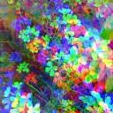 super-luckycollectiongarden avatar