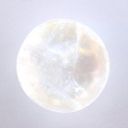 super-lunary-art avatar