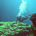 superaliencake avatar