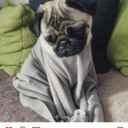 superawkwardok avatar