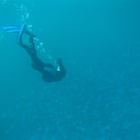 superbcreationjellyfish avatar