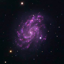 superbeachkids avatar