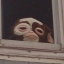 superbfreakmuffinweasel-blog avatar