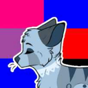 superbibice5551 avatar