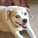 superblysaltyhobbit avatar