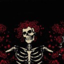 superbscissorsdeanexpert avatar