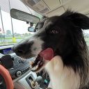 superbunknownstrawberry avatar