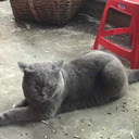 superbwobblerstudentmaker-blog avatar