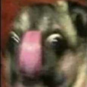 superconnoisseurconnoisseur avatar