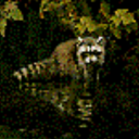 supercritter64 avatar