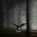 superdinha3love avatar