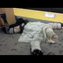 superduper-ady avatar