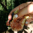 supereraianchequestagiornata avatar