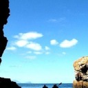 superficialife avatar