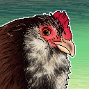 superfluffychickens avatar