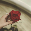 superhappyqueenlove-blog avatar