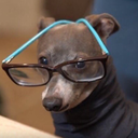 superheauxthings avatar