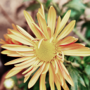 superimperceptiblegirlme-blog avatar