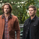 supernatural-crazed890 avatar